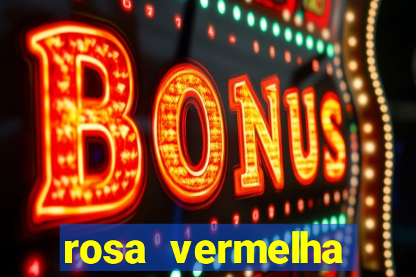 rosa vermelha (letra e cifra)